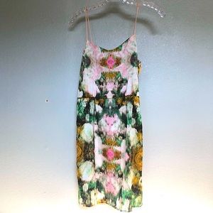 NWT Sam & Levi silk dress